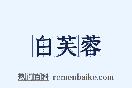 白芙蓉是什么意思的图片